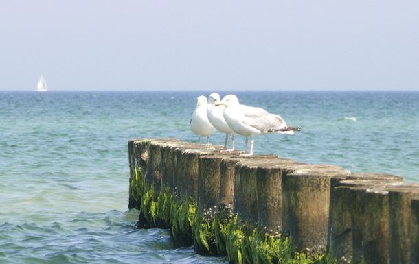 Ostsee Maritim Travemünde