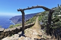 Wanderparadies El Hierro - Die Naturschönheiten der unbekannten Kanaren-Insel/ BadZ