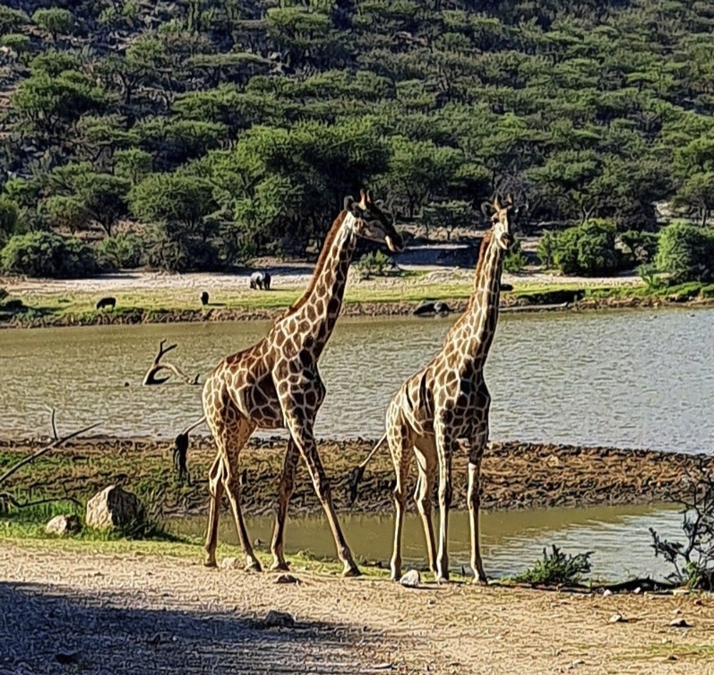 Mount Etjo, Namibia