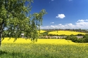 Thüringer Wald für Alleinreisende / ST RGA