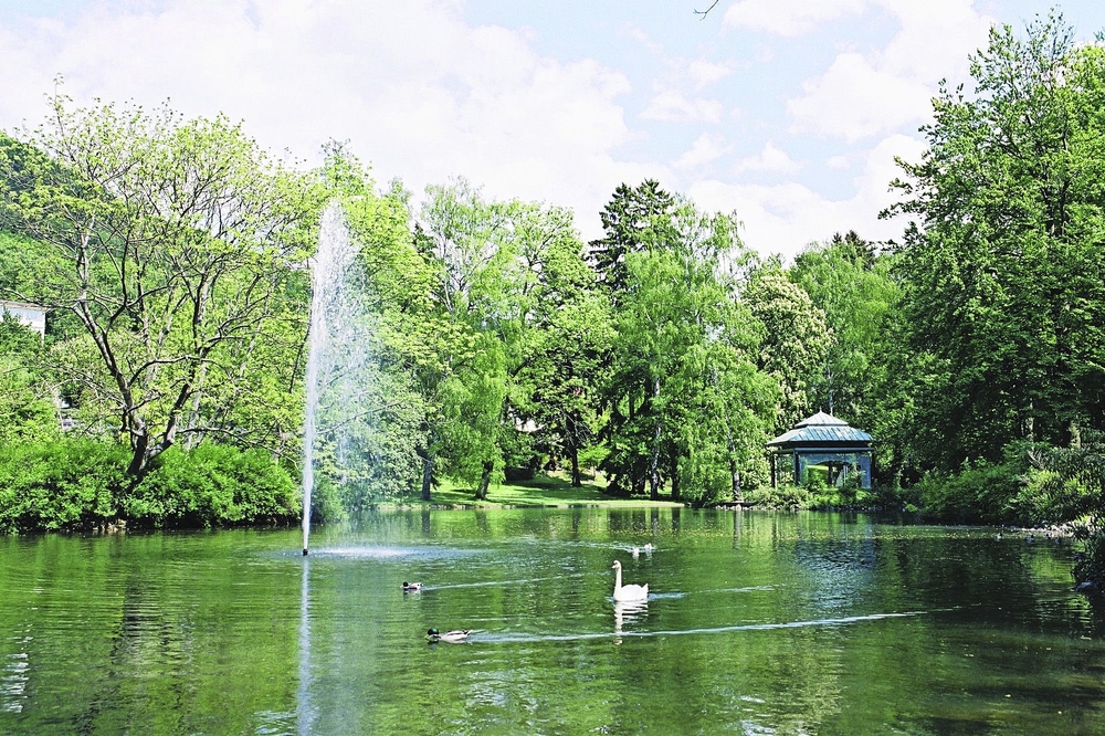 Teich im Park von Bad Wildungen