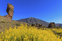 Die Kanarischen Inseln Entdecken Sie die Vielfalt Teneriffas und La Palmas / mix
